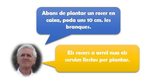 Consell Pere